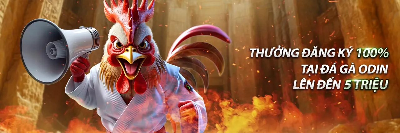 Hình ảnh hỗ trợ khách hàng bwing, giải đáp câu hỏi thường gặp